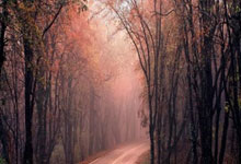 NG28官网：利物浦公布传奇慈善赛名单：杰拉德坐镇中场，克劳奇、库伊特在列.